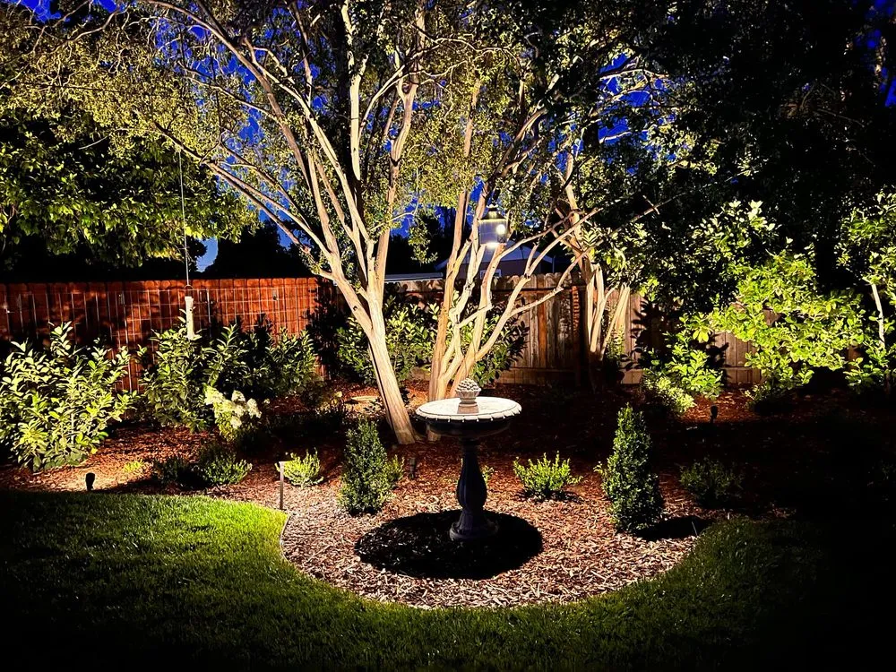 Expert yard cleanup service with custom design across Sacramento, CA - Western Willows Landscaping