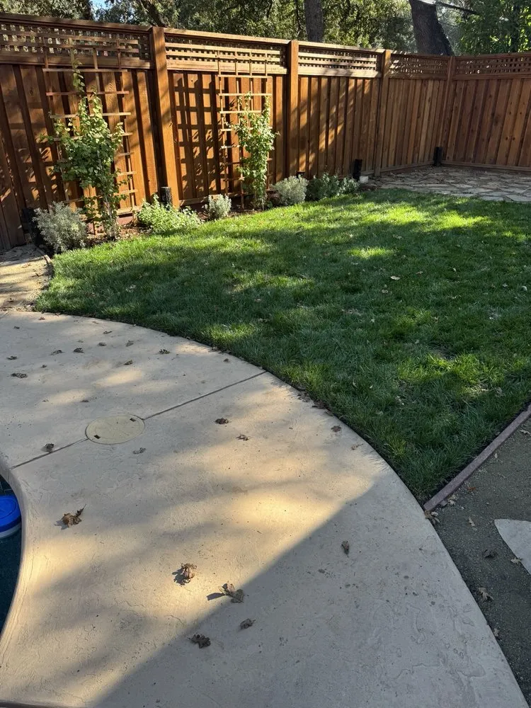 Professional garden landscaping experts serving Sacramento, CA - Western Willows Landscaping