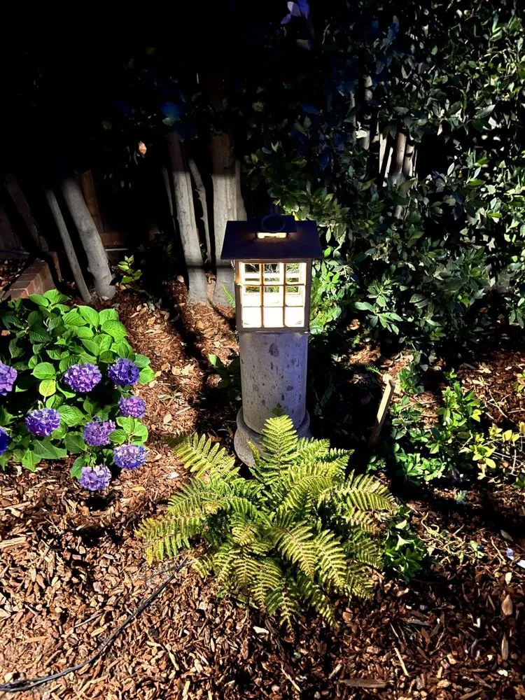 Expert yard maintenance for outdoor upgrades across Sacramento, CA - Western Willows Landscaping