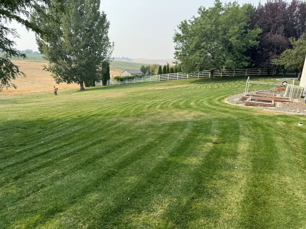 Professional yard cleanup service in Star, ID by Western Yard & Maintenance