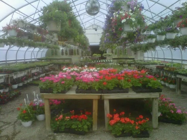 Top-rated landscape design experts serving Westfield, NY - Westfield Nursery