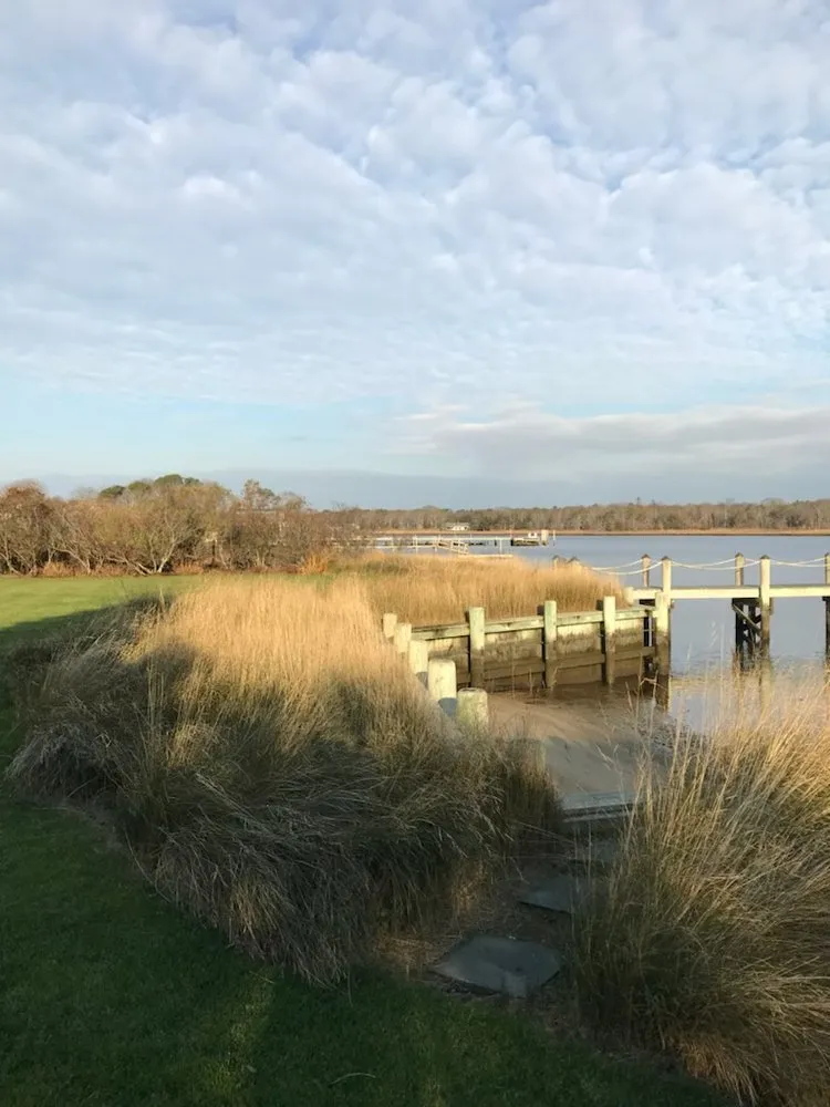 Custom landscape design in Westhampton Beach, NY - Westhampton Tree Works