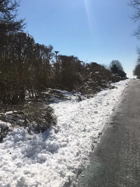 Custom garden landscaping experts serving Westhampton Beach, NY - Westhampton Tree Works