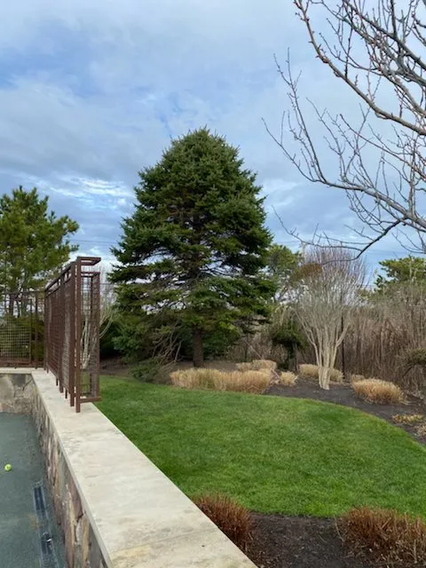 Top-rated yard cleanup service experts serving Westhampton Beach, NY - Westhampton Tree Works