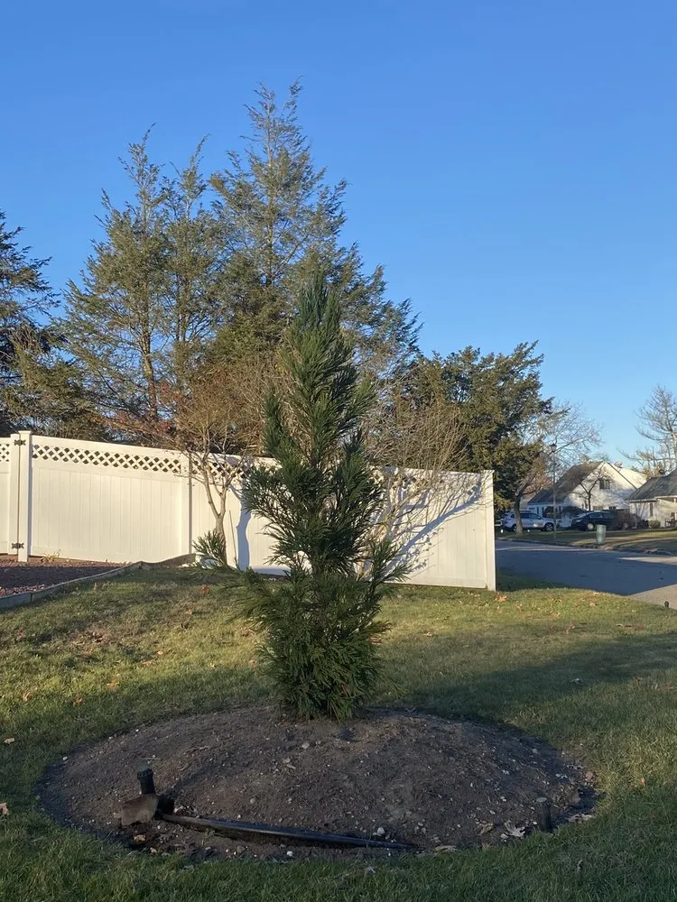 Professional landscape installation near you in Westhampton Beach, NY by Westhampton Tree Works