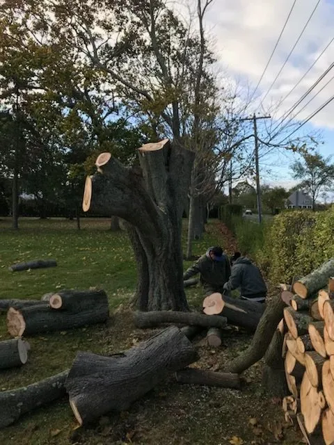 Top-rated lawn mowing service experts serving Westhampton Beach, NY - Westhampton Tree Works