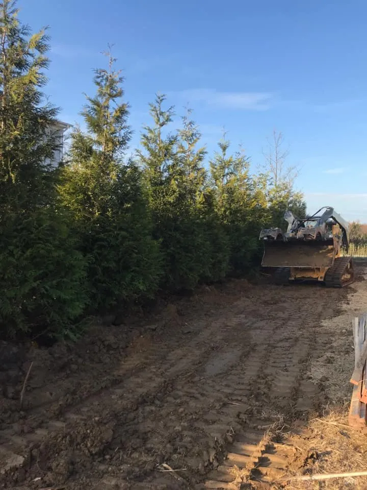 Trusted residential landscaping in Westhampton Beach, NY - Westhampton Tree Works