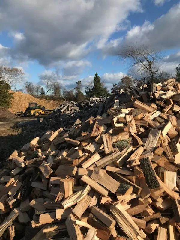 Top-rated residential landscaping experts serving Westhampton Beach, NY - Westhampton Tree Works