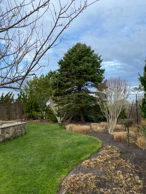 Top-rated residential landscaping in Westhampton Beach, NY by Westhampton Tree Works