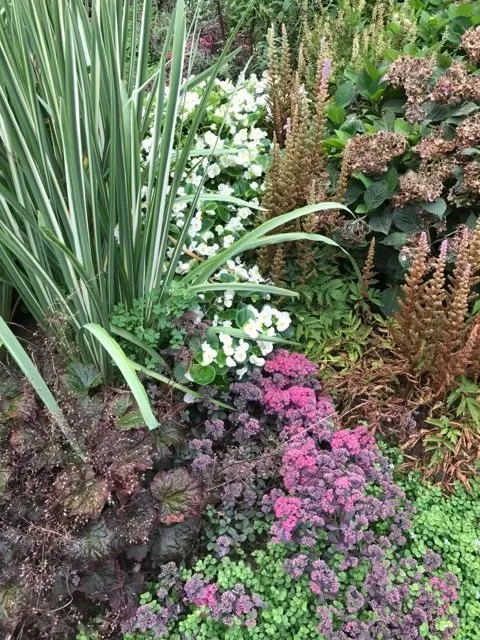 Reliable landscape design experts serving Westhampton Beach, NY - Westhampton Tree Works