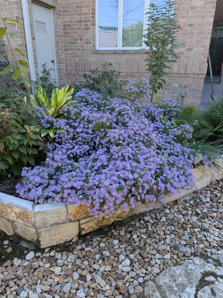 Trusted garden landscaping experts serving Rollingwood, TX - Westlake Yard