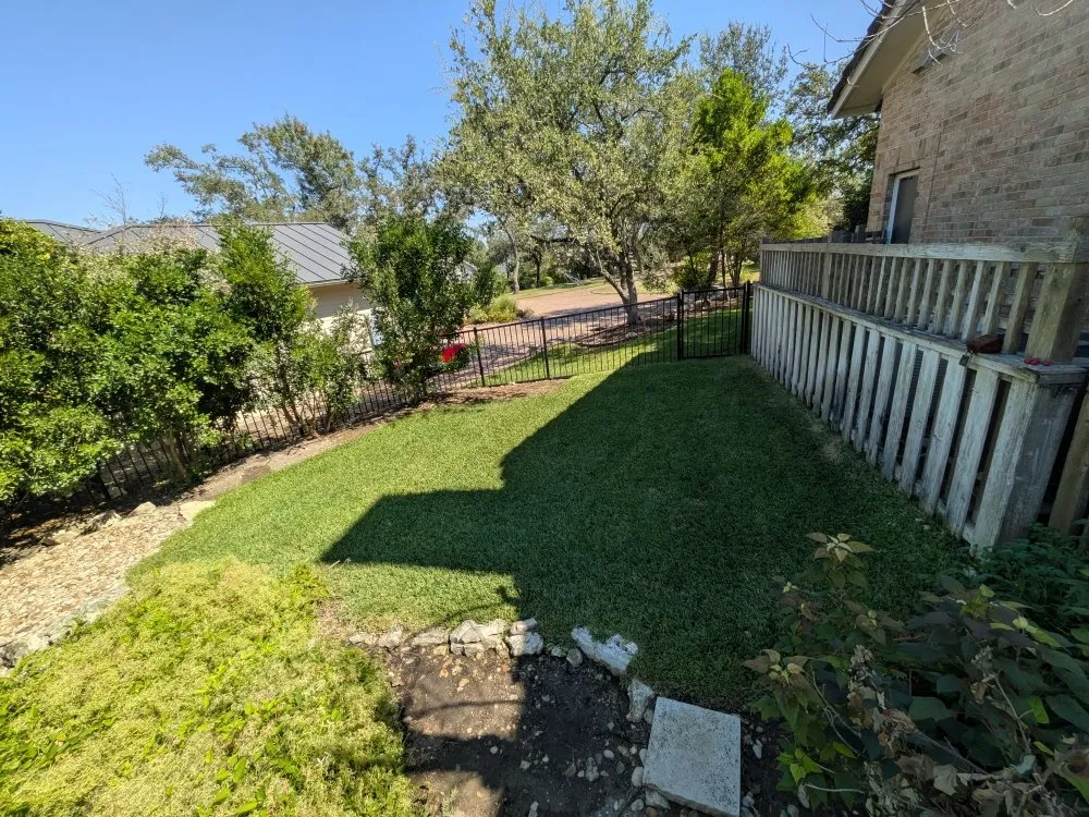 Trusted yard maintenance for homes across Rollingwood, TX - Westlake Yard