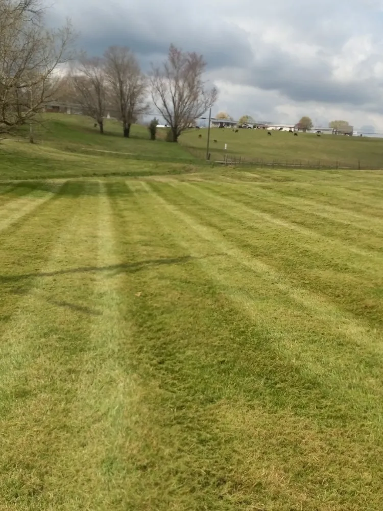 Local lawn mowing service experts serving Limestone, TN - Westmoreland's Lawn Care