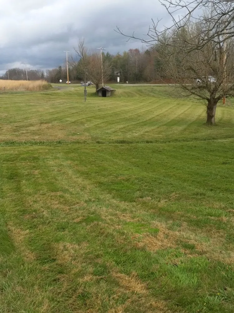 Expert landscaping services for outdoor upgrades across Limestone, TN - Westmoreland's Lawn Care