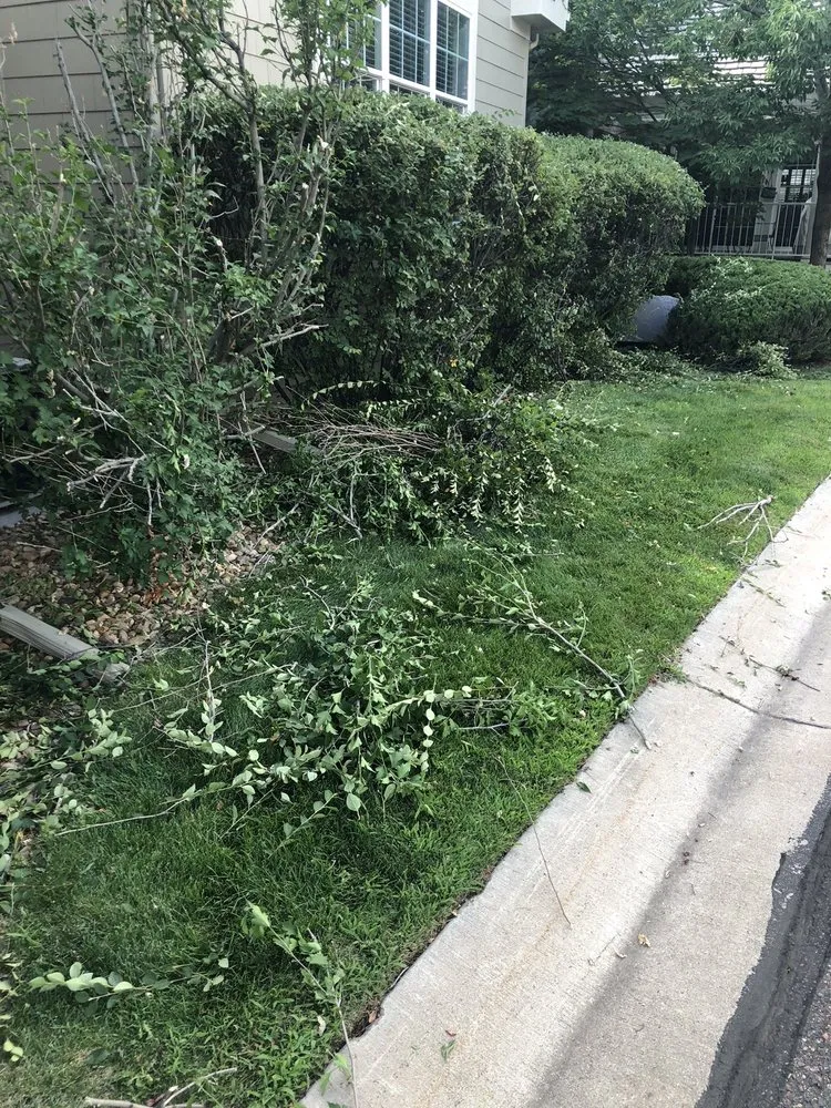 Reliable outdoor landscaping in Englewood, CO - Weston Landscape & Design