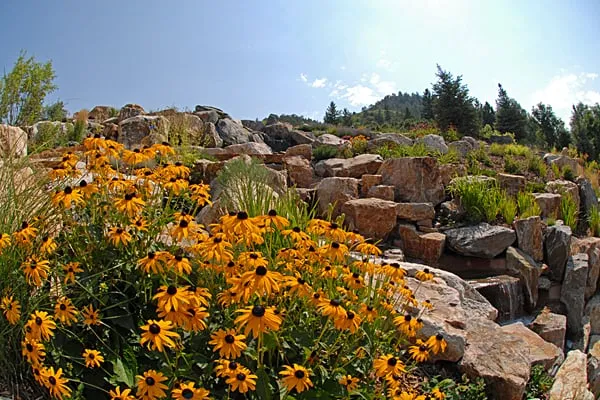 Affordable landscaping services for outdoor upgrades in Englewood, CO by Weston Landscape & Design