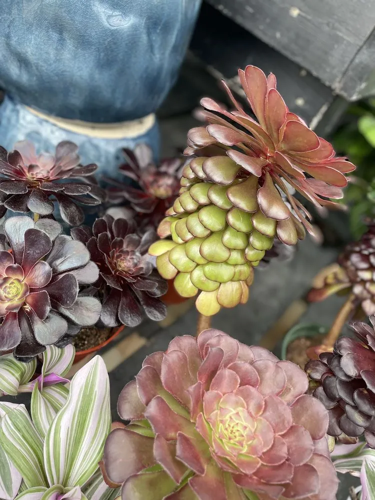 Professional garden landscaping in Hopkinton, MA - Weston Nurseries of Hopkinton