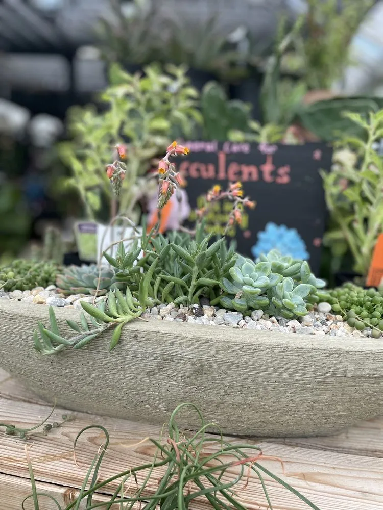 Expert outdoor landscaping in Hopkinton, MA - Weston Nurseries of Hopkinton