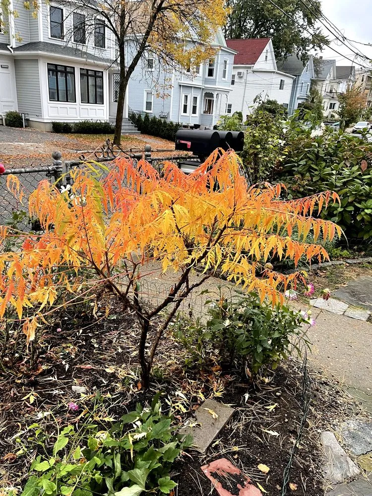 Trusted garden landscaping for outdoor upgrades across Hopkinton, MA - Weston Nurseries of Hopkinton