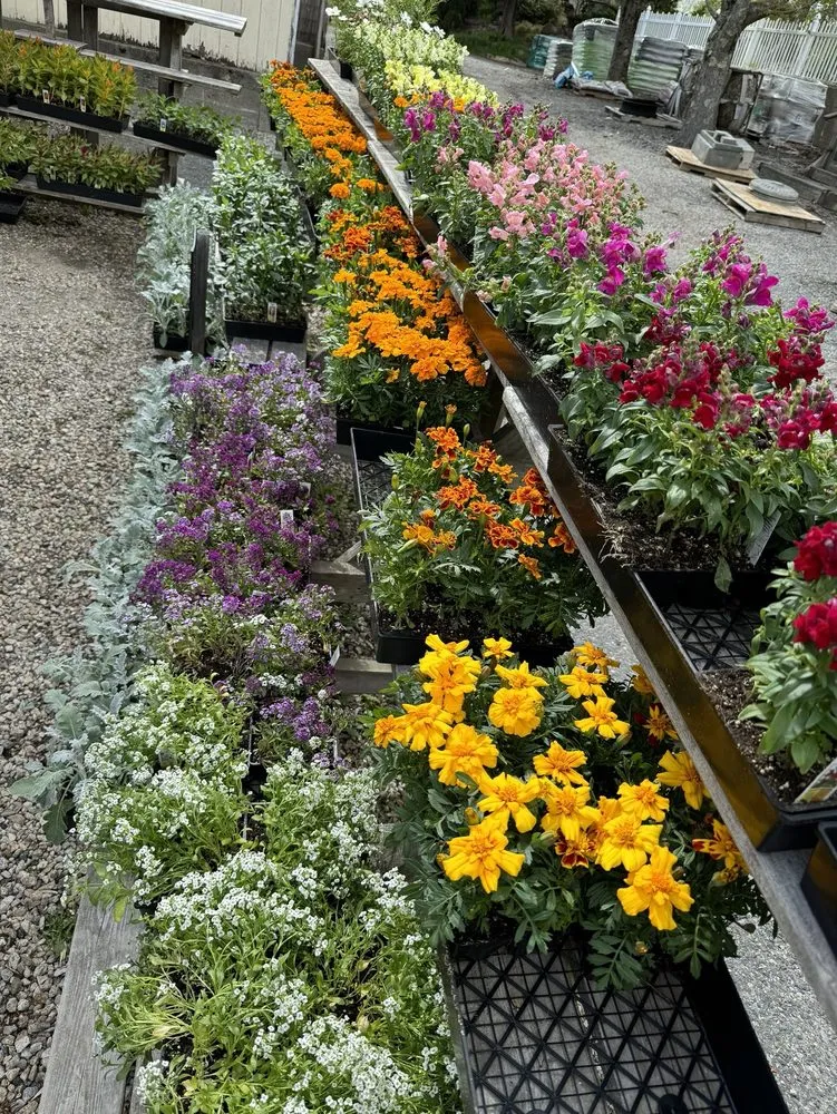 Custom yard maintenance with custom design in Hopkinton, MA by Weston Nurseries of Hopkinton