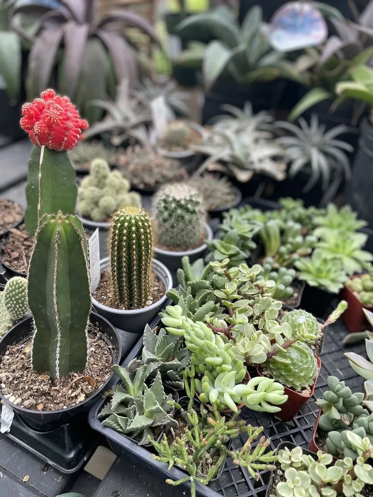 Professional landscape design in Hopkinton, MA - Weston Nurseries of Hopkinton