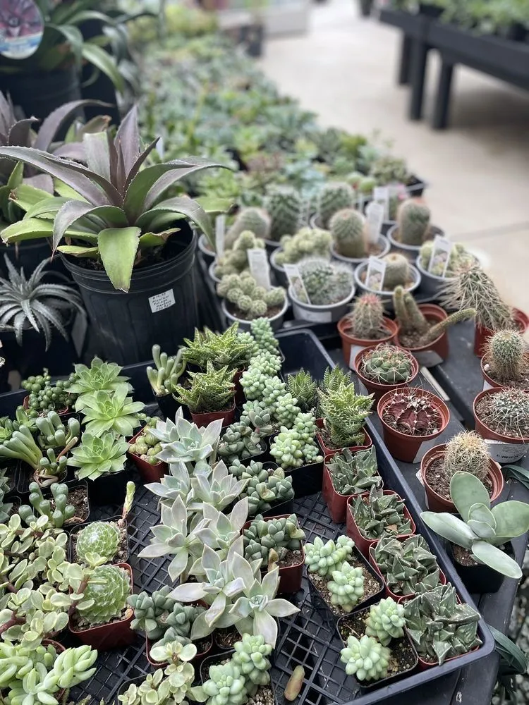 Trusted yard maintenance near you across Hopkinton, MA - Weston Nurseries of Hopkinton