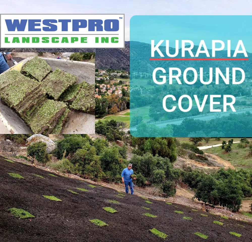 Local residential landscaping for outdoor upgrades in Carlsbad, CA by Westpro Landscape