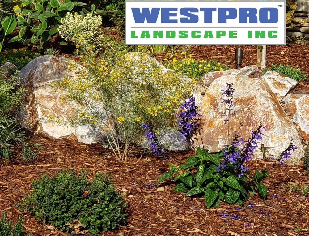 Professional landscaping services in Carlsbad, CA - Westpro Landscape
