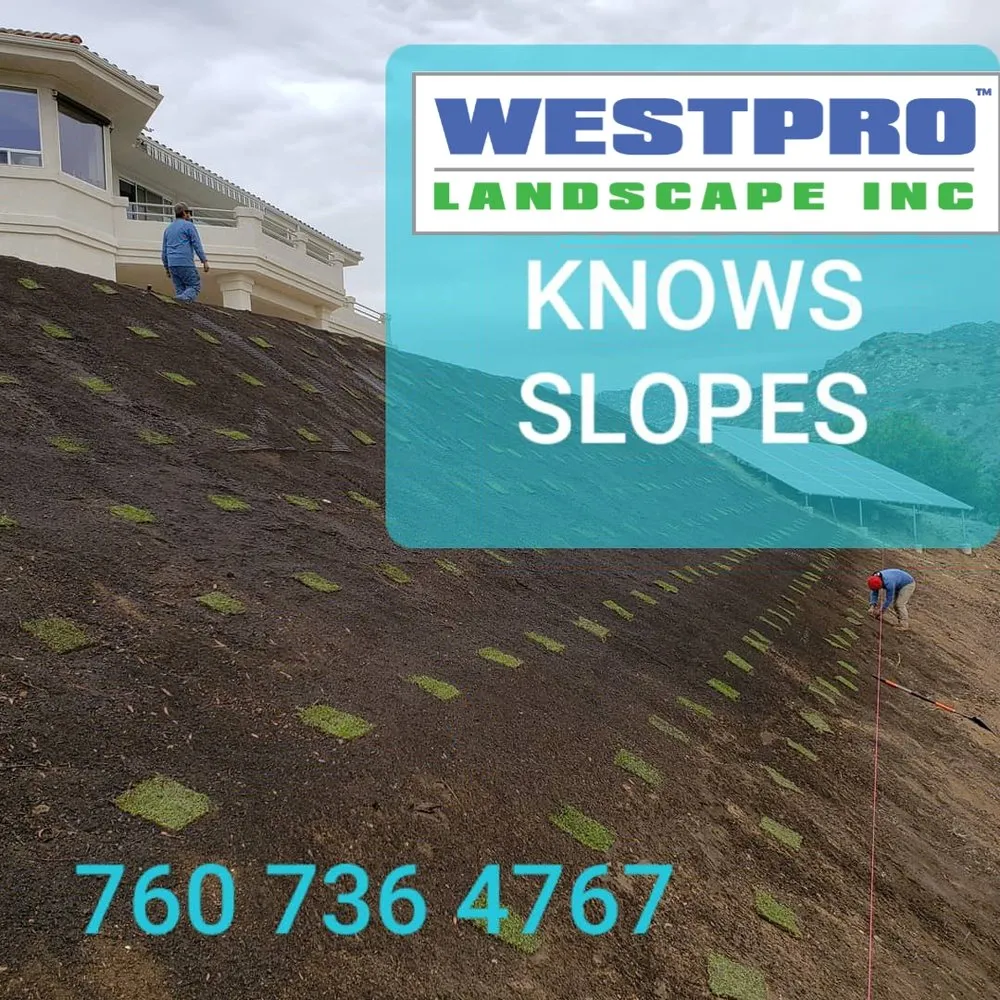 Professional garden landscaping in Carlsbad, CA by Westpro Landscape