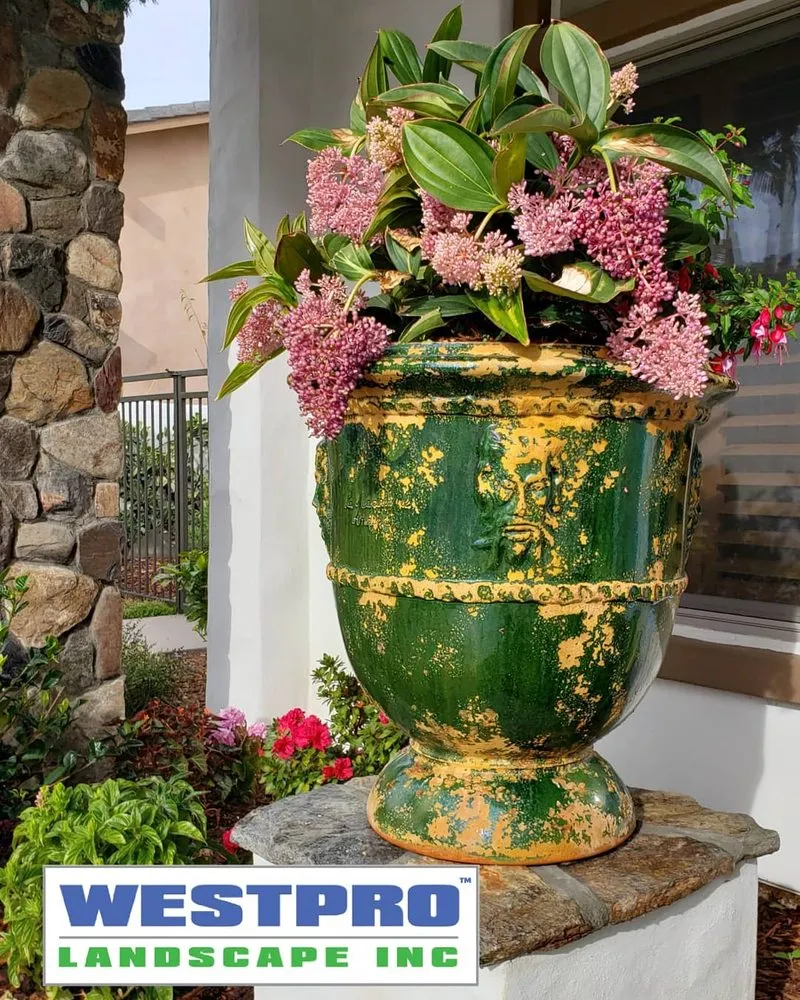 Expert outdoor landscaping experts serving Carlsbad, CA - Westpro Landscape