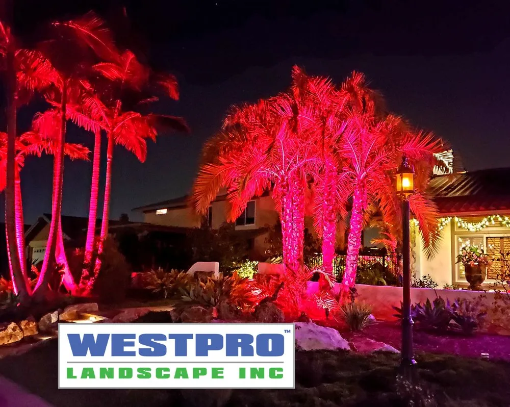 Top-rated lawn mowing service experts serving Carlsbad, CA - Westpro Landscape