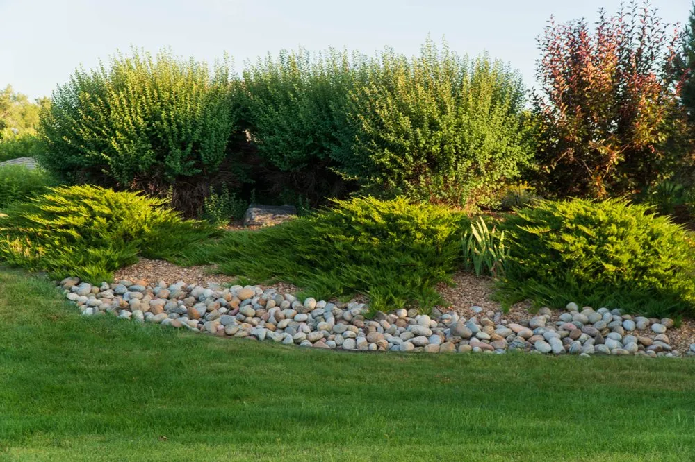 Affordable outdoor landscaping with custom design across Boulder, CO - Westridge Landscapes
