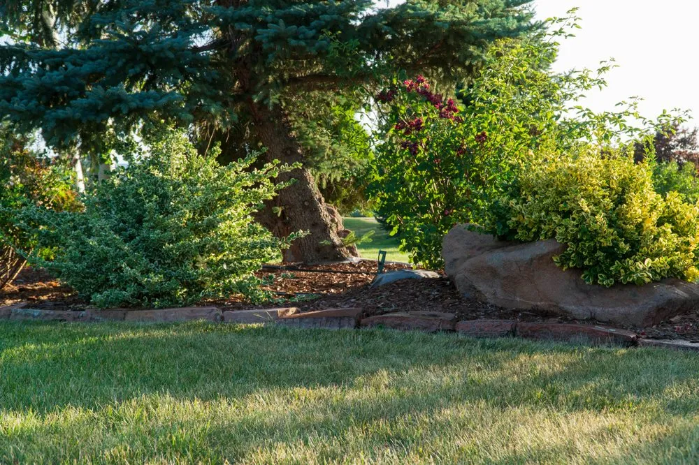 Local yard cleanup service in Boulder, CO - Westridge Landscapes