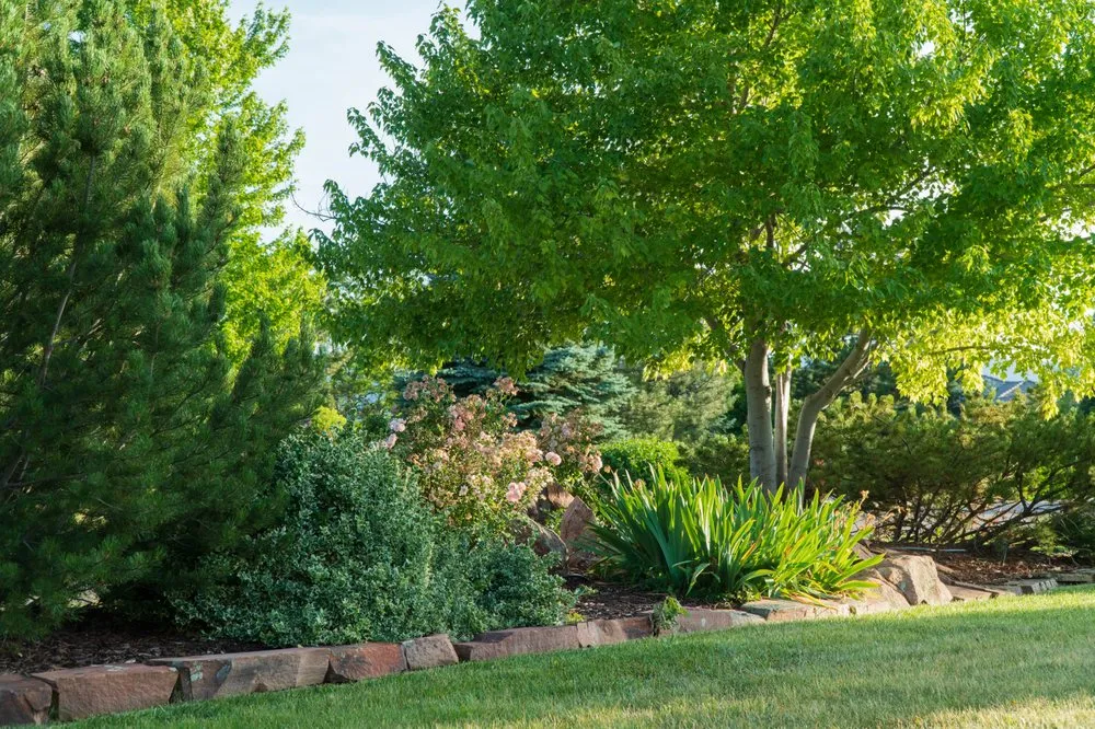 Top-rated residential landscaping for year-round maintenance in Boulder, CO by Westridge Landscapes