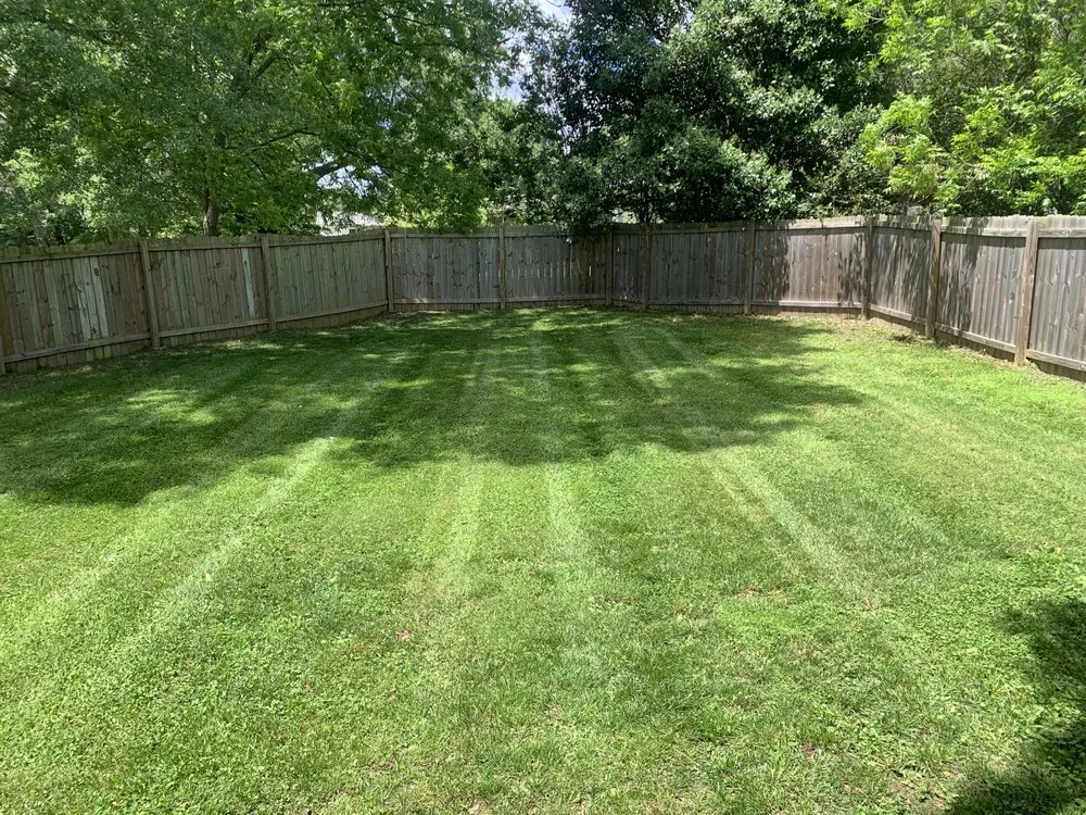 Local lawn care service experts serving Fingerville, SC - Westscapes