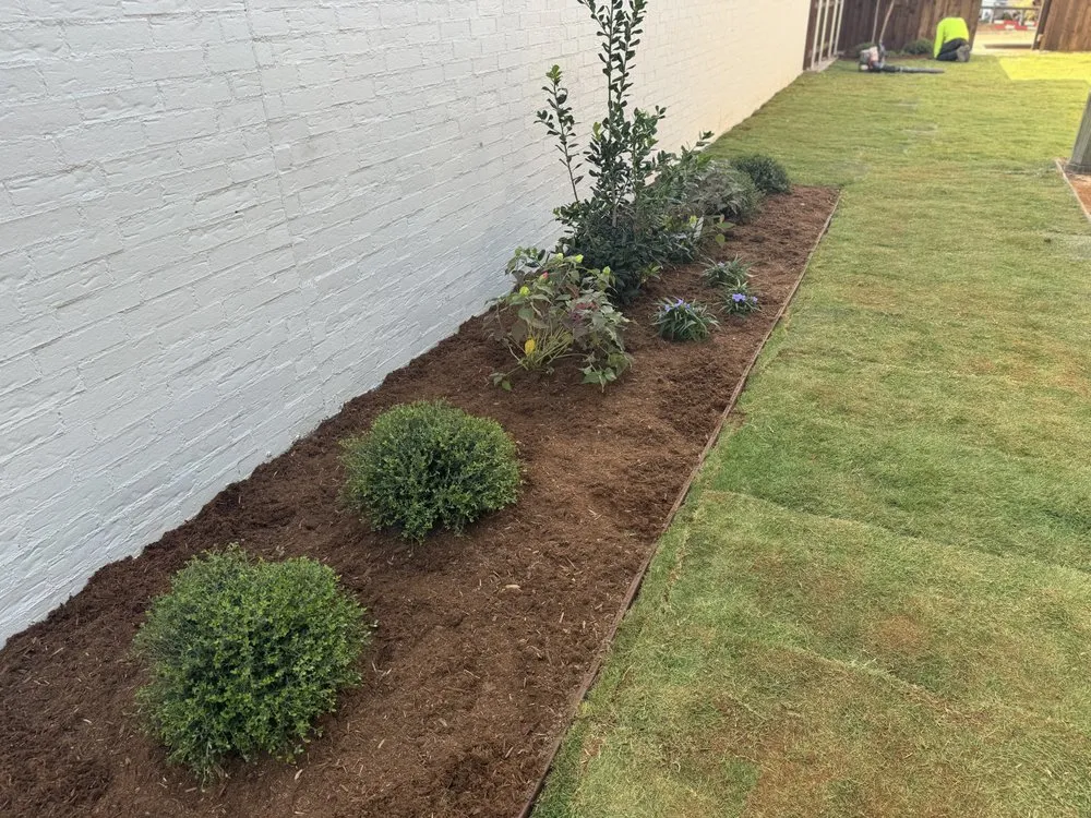 Affordable outdoor landscaping in Lubbock, TX - Westscapes