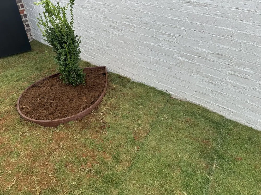 Local residential landscaping in Lubbock, TX - Westscapes
