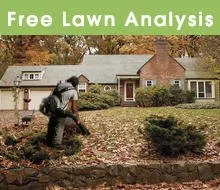 Westshore Lawn Care