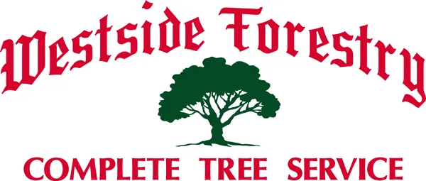 Top-rated yard cleanup service for residential properties in Novi, MI by Westside Forestry Service