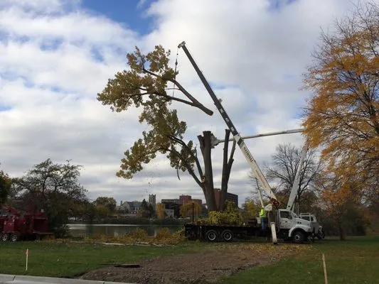 Westside Forestry Service