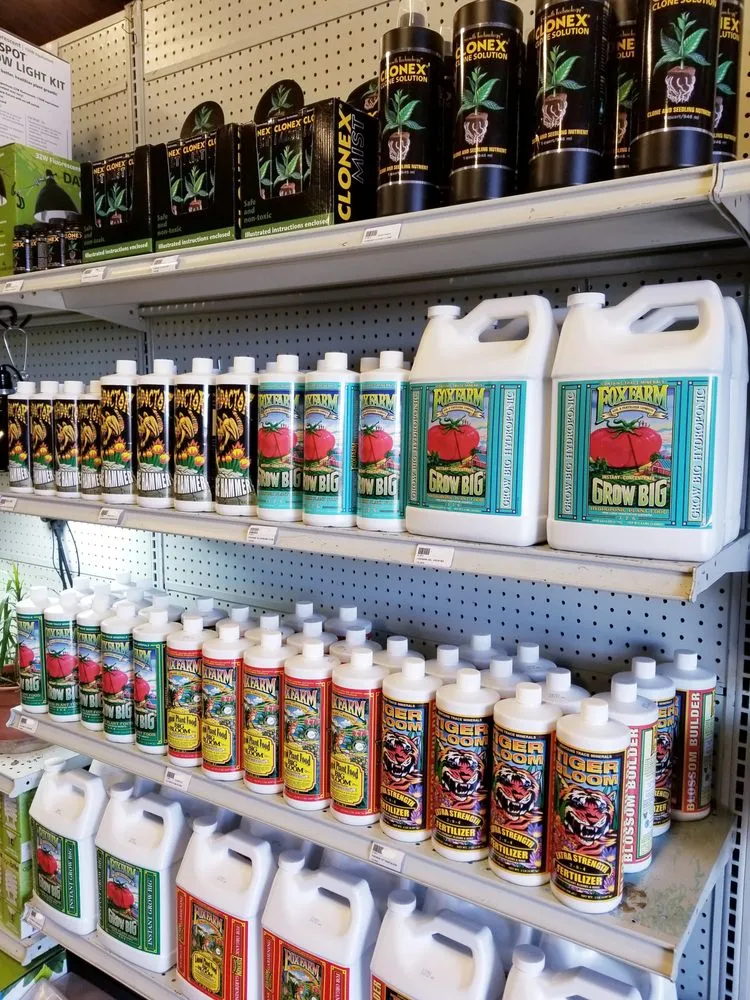 Expert landscaping services experts serving Newman, CA - Westside Landscape & Concrete