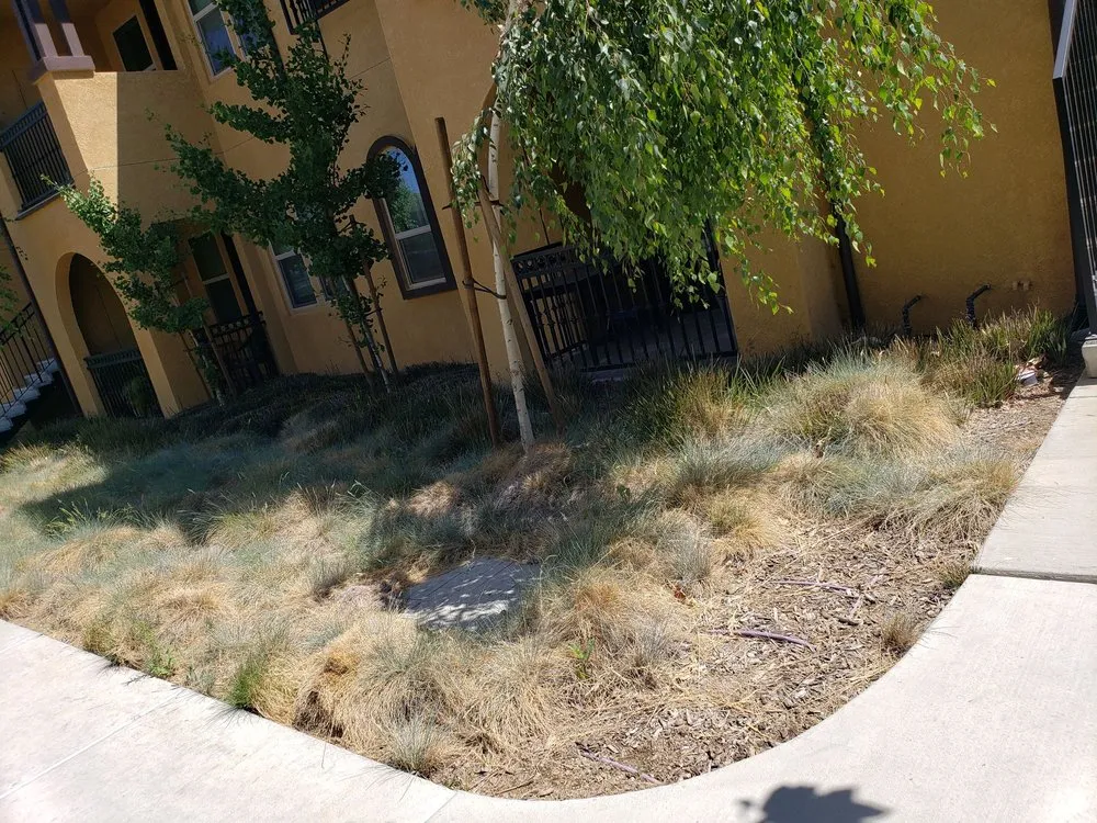 Reliable yard maintenance for homes in Newman, CA by Westside Landscape & Concrete
