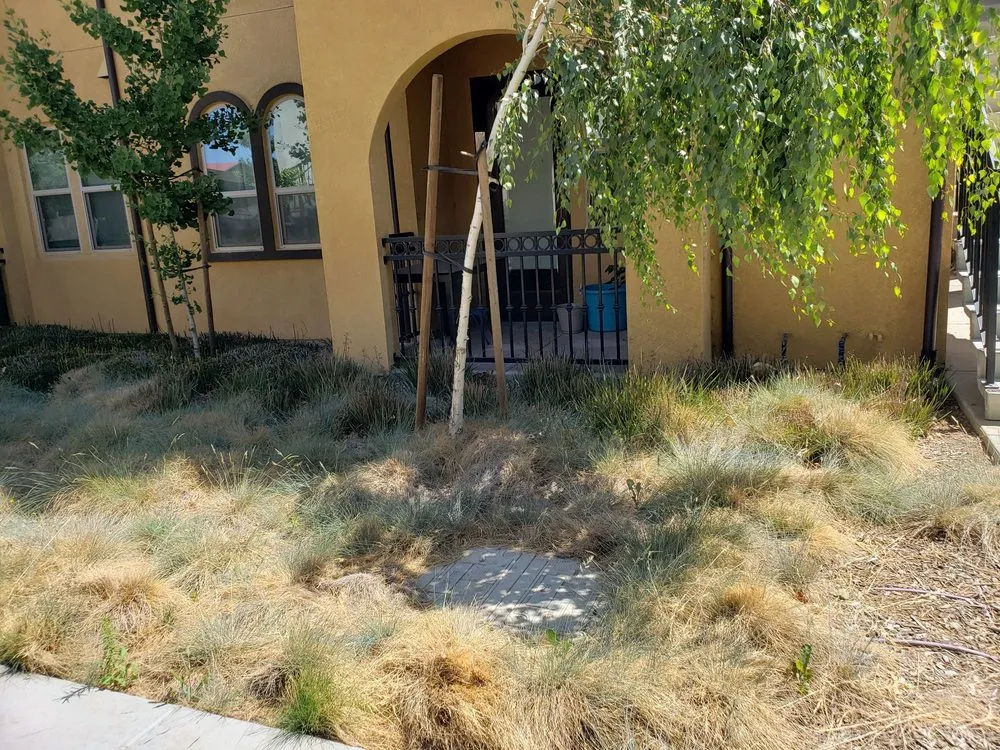 Professional landscape design in Newman, CA by Westside Landscape & Concrete