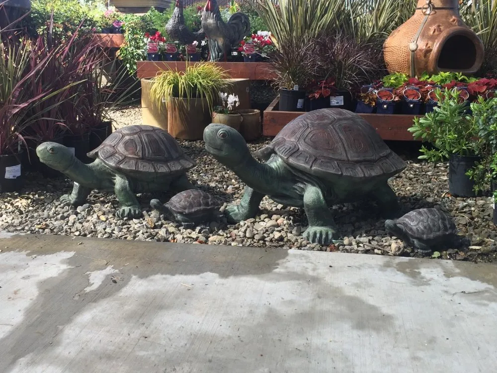 Custom landscaping services experts serving Newman, CA - Westside Landscape & Concrete