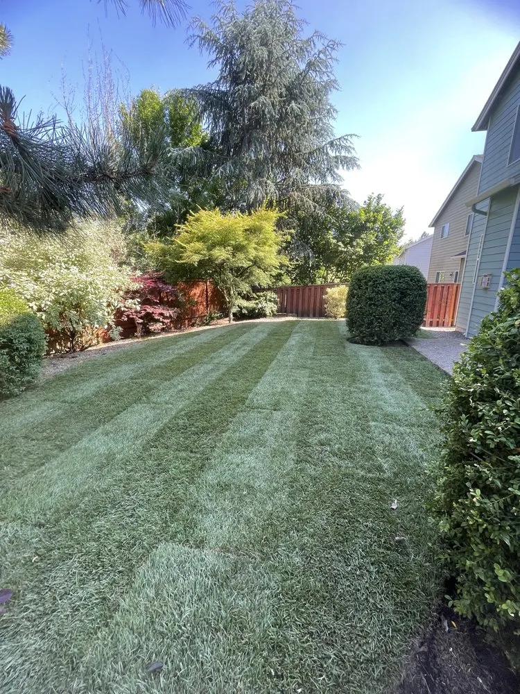 Expert landscape design for outdoor upgrades across Beaverton, OR - Westside Landscape