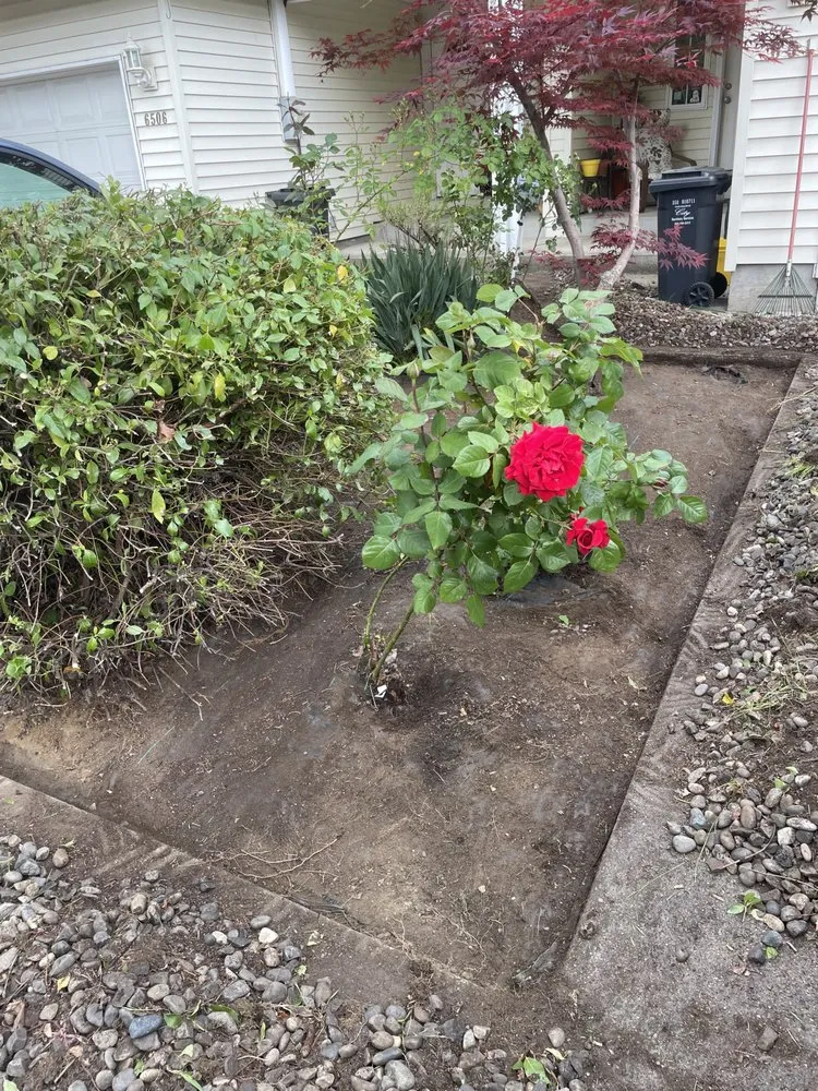 Trusted landscape installation in Beaverton, OR - Westside Landscape