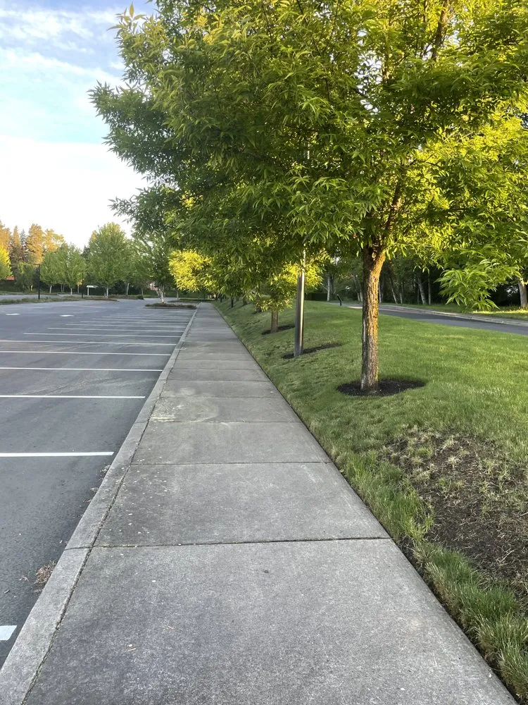 Professional yard maintenance for homes in Beaverton, OR by Westside Landscape