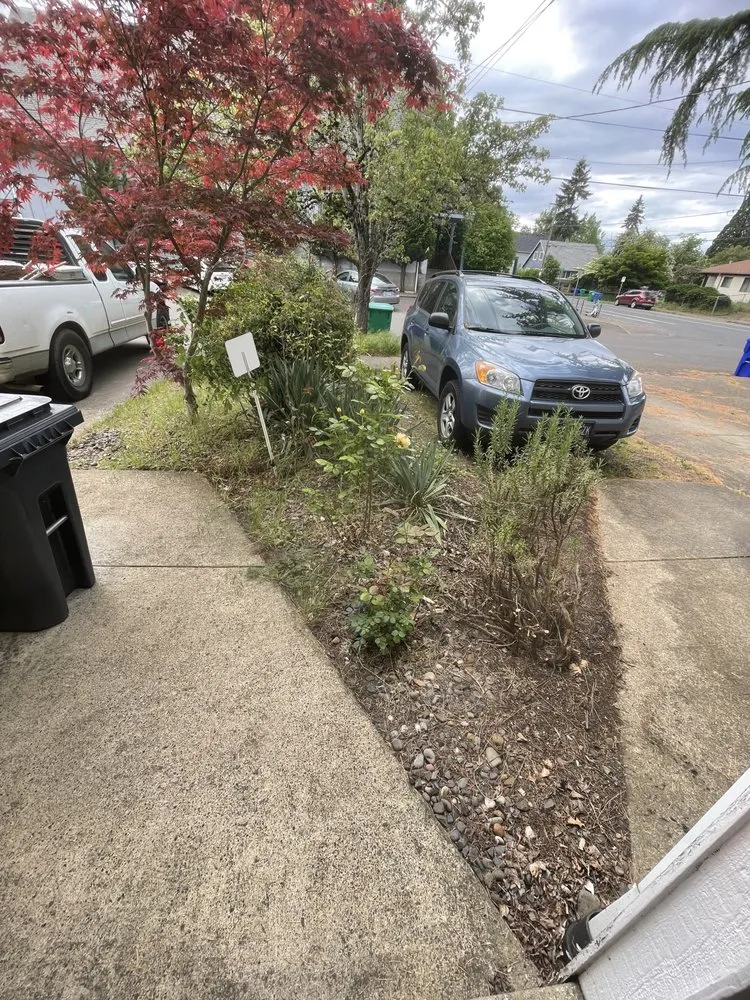 Affordable yard cleanup service in Beaverton, OR by Westside Landscape
