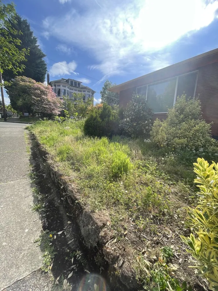 Local yard cleanup service in Beaverton, OR by Westside Landscape