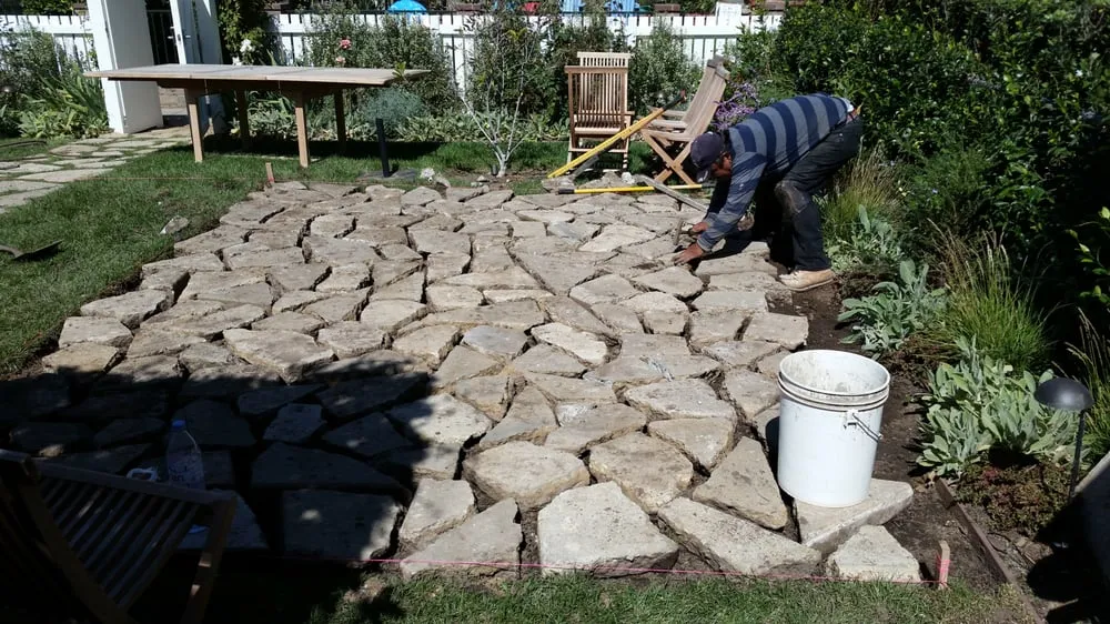 Top-rated yard cleanup service for beautiful yards in Los Angeles, CA by Westside Landscaping